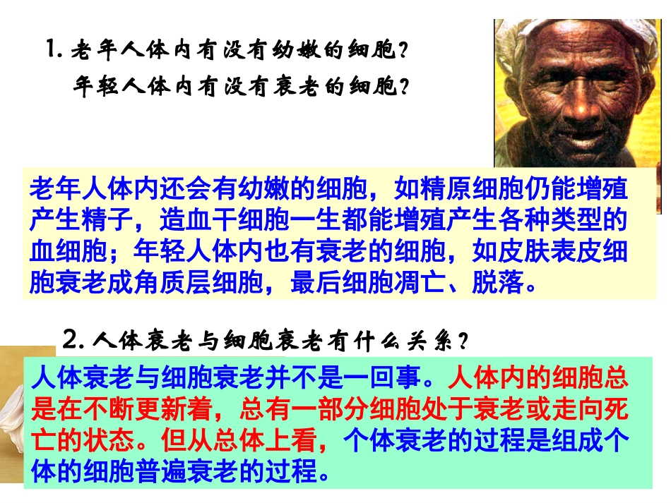 高中生物课件6.3 细胞衰老、凋亡、癌变课件2_第3页