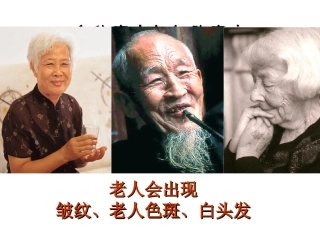 高中生物课件6.3 细胞衰老、凋亡、癌变课件2