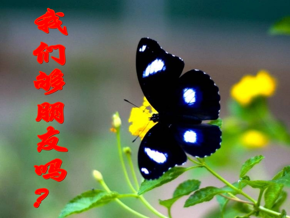 八(三)我们够朋友吗_第2页