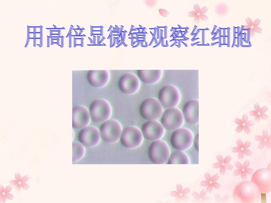 高倍显微镜观察红细胞_第1页