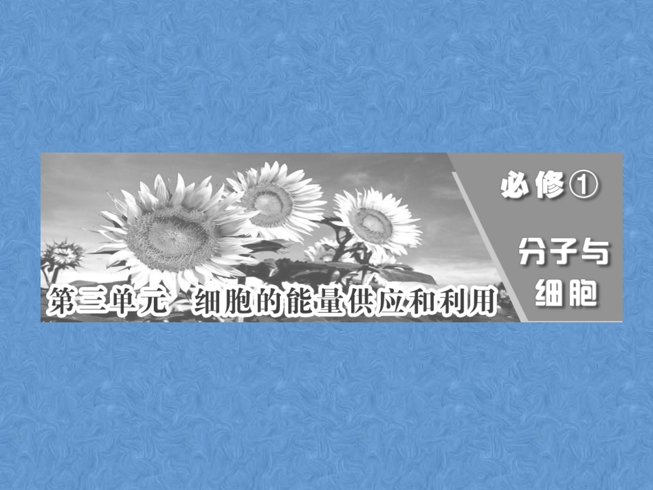 高中生物生物必修一酶与ATP_第1页