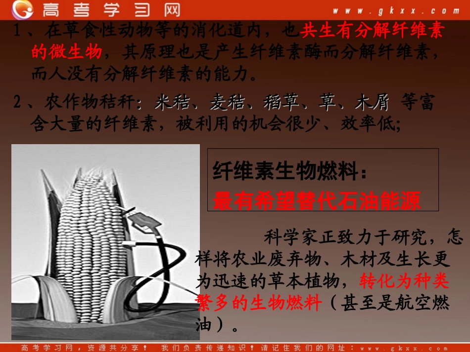 高中生物《第二章 第三节 分解纤维素的微生物的分离》课件2 (新人教版选修1)_第2页