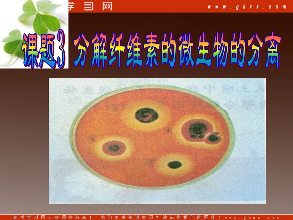 高中生物《第二章 第三节 分解纤维素的微生物的分离》课件2 (新人教版选修1)_第3页