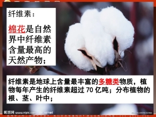 高中生物《第二章 第三节 分解纤维素的微生物的分离》课件2 (新人教版选修1)