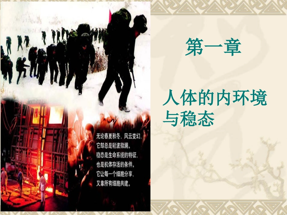 高中生物 内环境与稳态_第2页