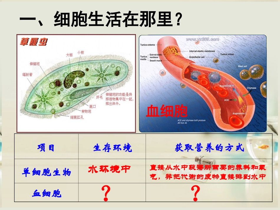 高中生物《第一章 第一节 细胞生活的环境》课件4 新人教版必修3_第2页