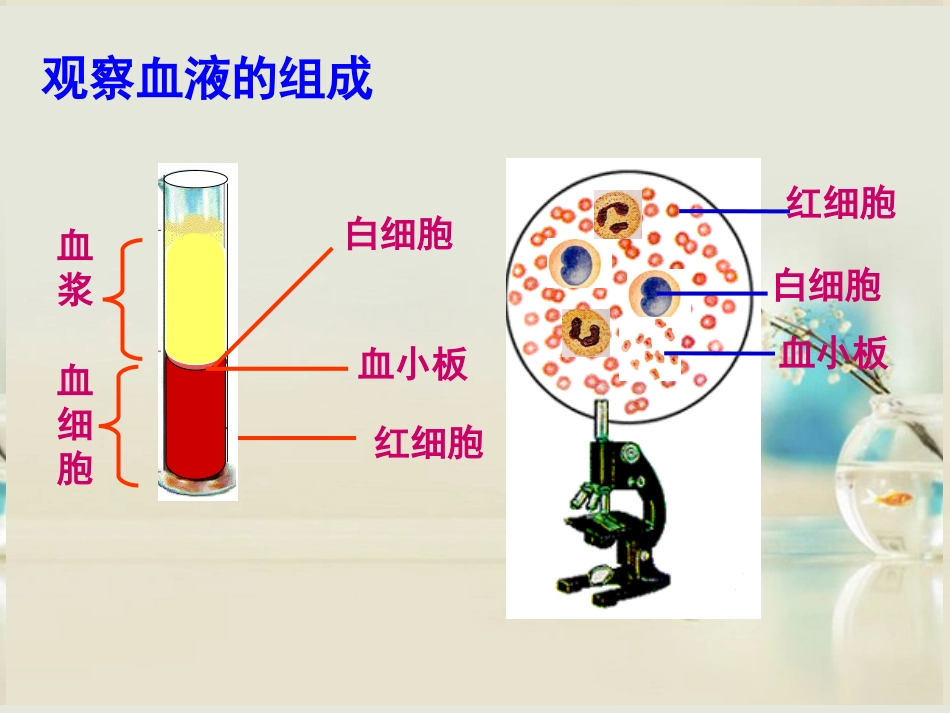 高中生物《第一章 第一节 细胞生活的环境》课件4 新人教版必修3_第3页