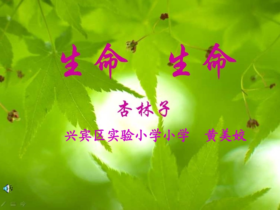 生命,生命课件(2)_第1页