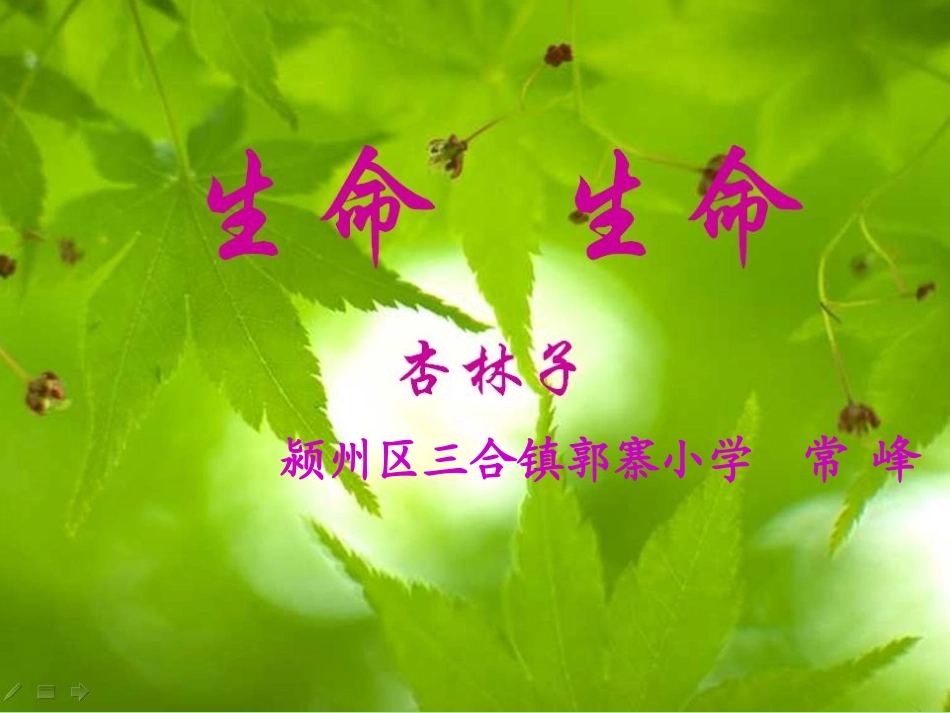 生命,生命课件(2)_第3页