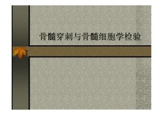 骨髓细胞学检验