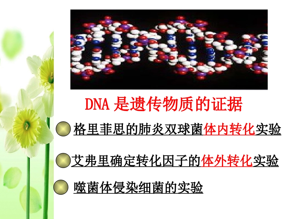 高三一轮复习 DNA是主要的遗传物质(2016届高三生物一轮复习)_第3页