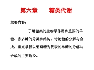 高一生物糖类代谢