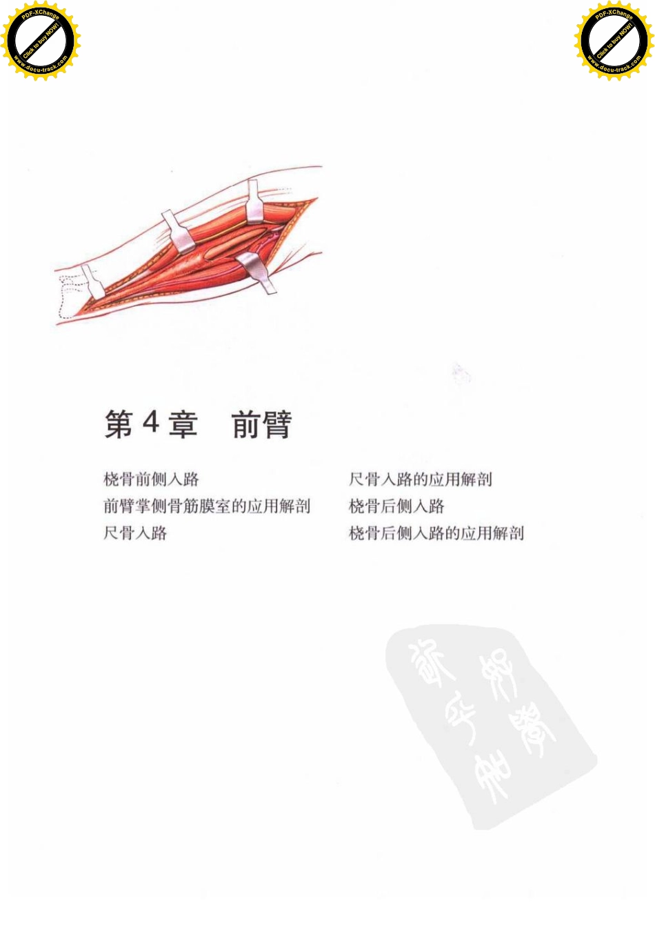 骨科手术图谱入路与解剖_邱贵兴2007译-桡骨前侧入路_第1页