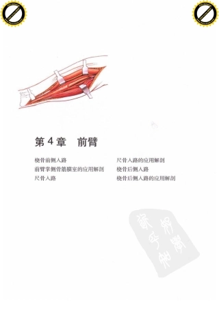 骨科手术图谱入路与解剖_邱贵兴2007译-桡骨前侧入路