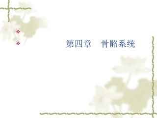 骨骼系统检查头颅