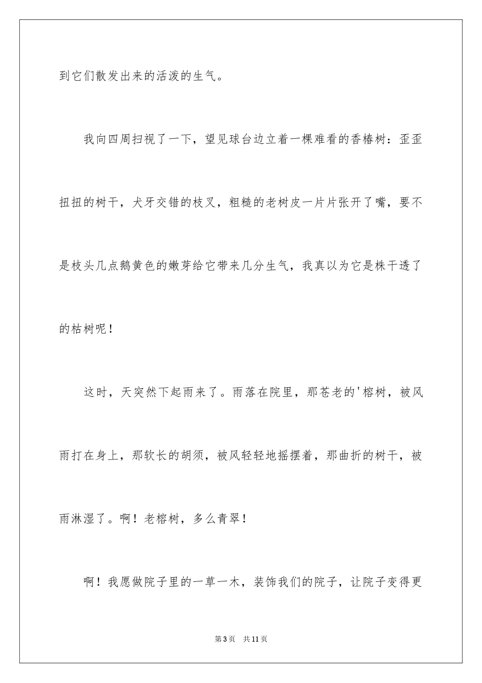 2024夏天写景作文300字_17_第3页