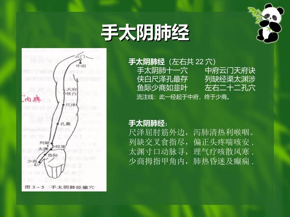 马熙云经络穴位口诀_第2页