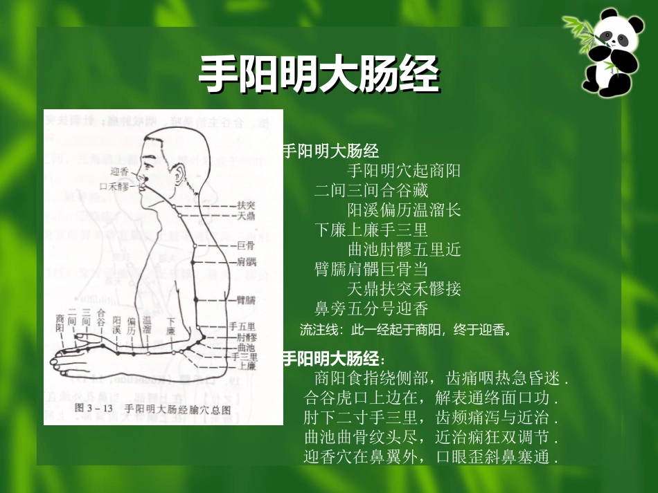 马熙云经络穴位口诀_第3页
