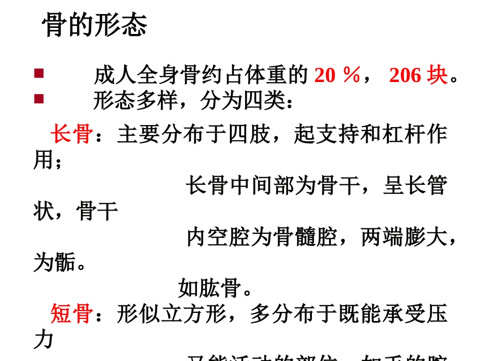 骨的力学性质_第3页