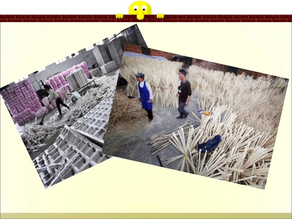 餐具中的细菌_第3页