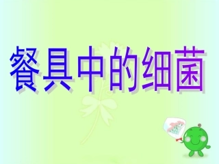 餐具中的细菌