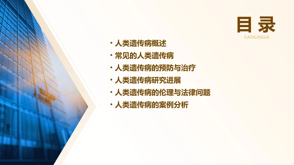 高一生物课件人类遗传病新人教必修_第2页