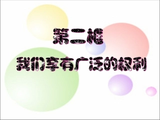 我们享有广泛的权利 (2)