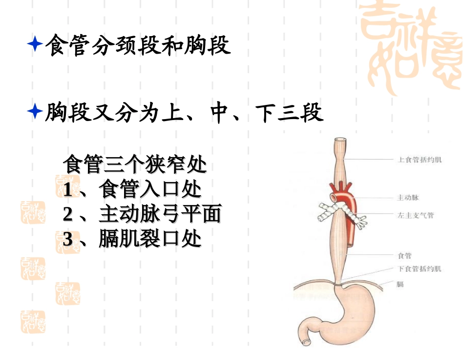 食管癌患者的_第2页