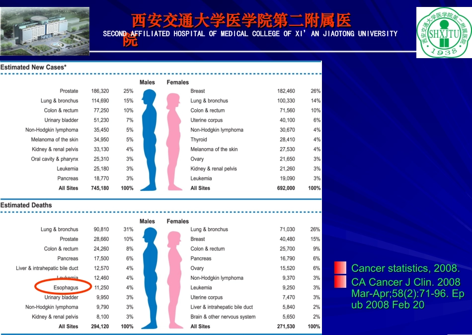 食管癌同步放化疗_第3页