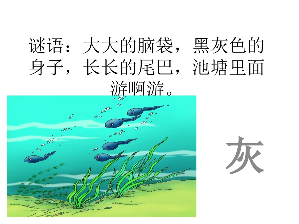 《小蝌蚪找妈妈》整_第1页