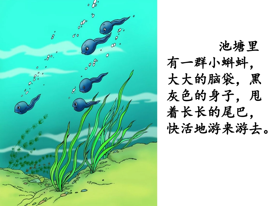 《小蝌蚪找妈妈》整_第3页