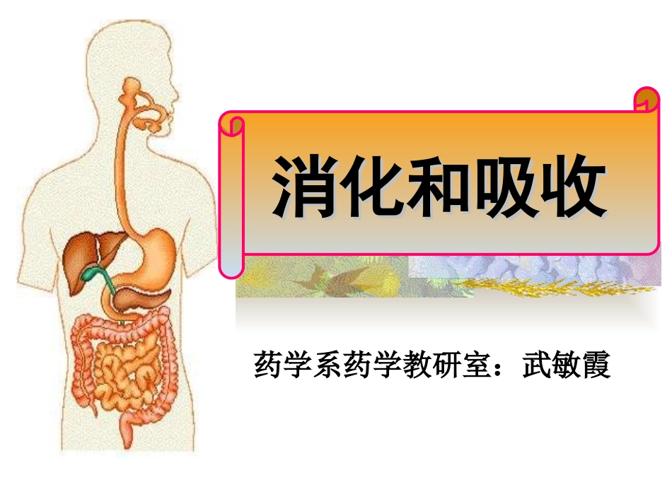 食物消化的过程_第1页