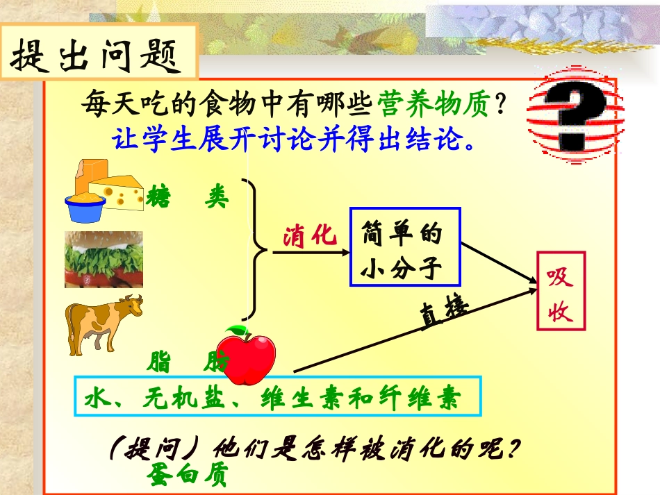 食物消化的过程_第3页