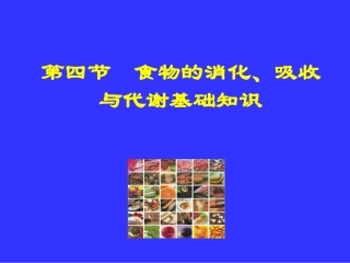 食物的消化、吸收