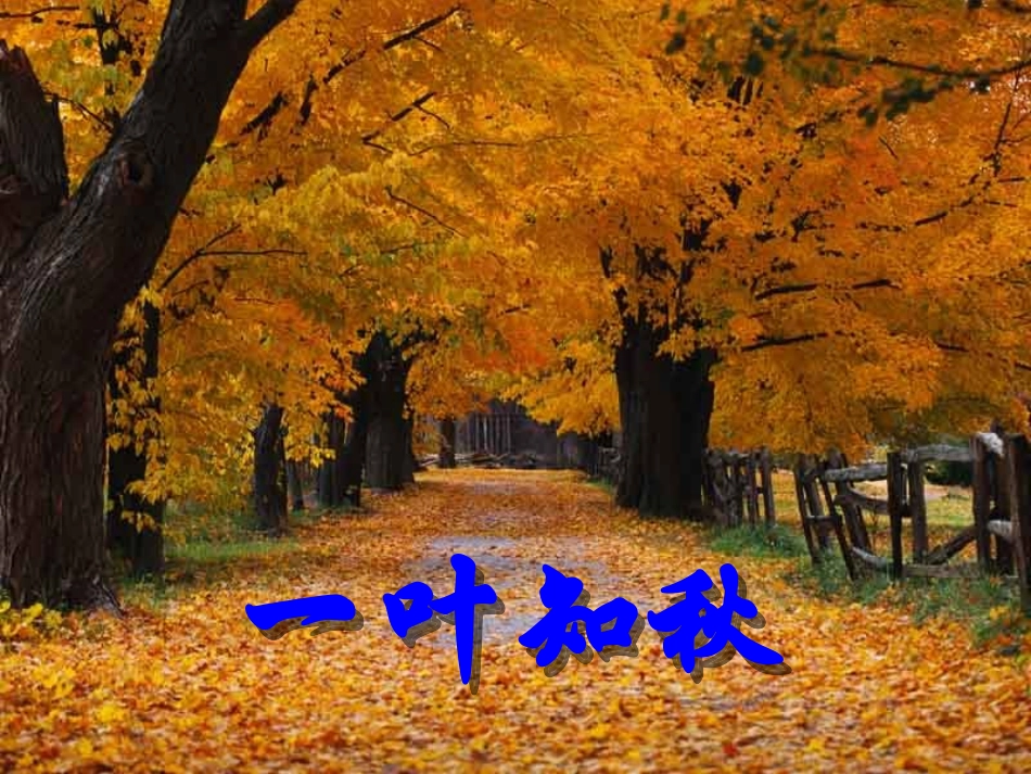 《秋天的图画》_PPT_课件__-_人教二年级上册_第2页