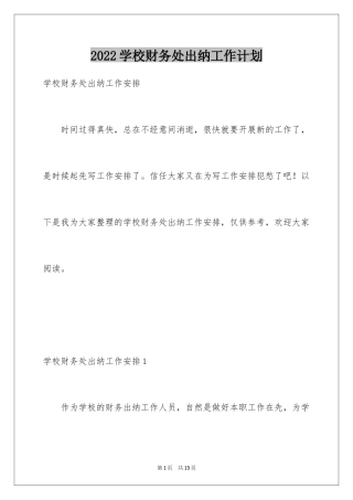 2024学校财务处出纳工作计划