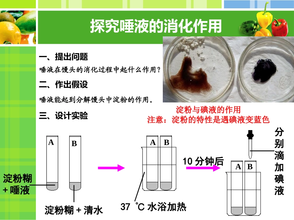 食物在口腔中消化2详解_第2页