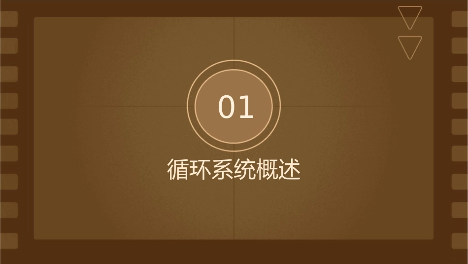 循环系统影像见习课件_第3页