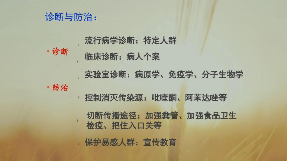 食源性寄生虫病的防控措施_第3页