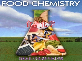 食品风味化学