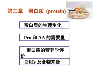 食物中的蛋白质介绍
