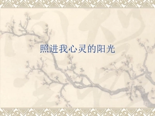 照进我心灵的阳光(作文评析)