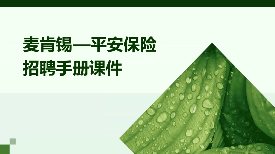 麦肯锡—平安保险招聘手册课件_第1页