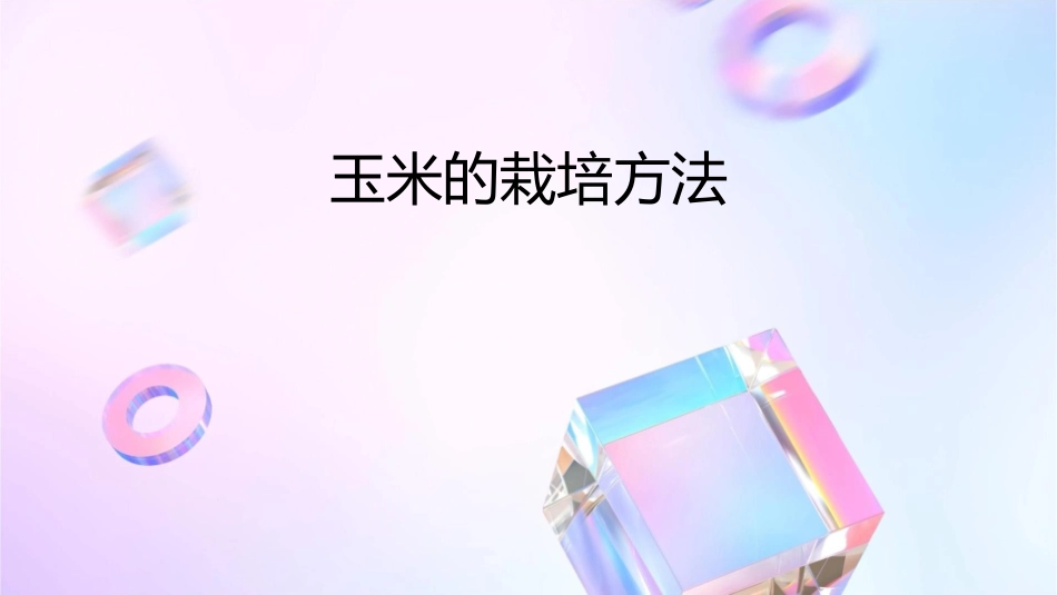 玉米的栽培方法课件_第1页