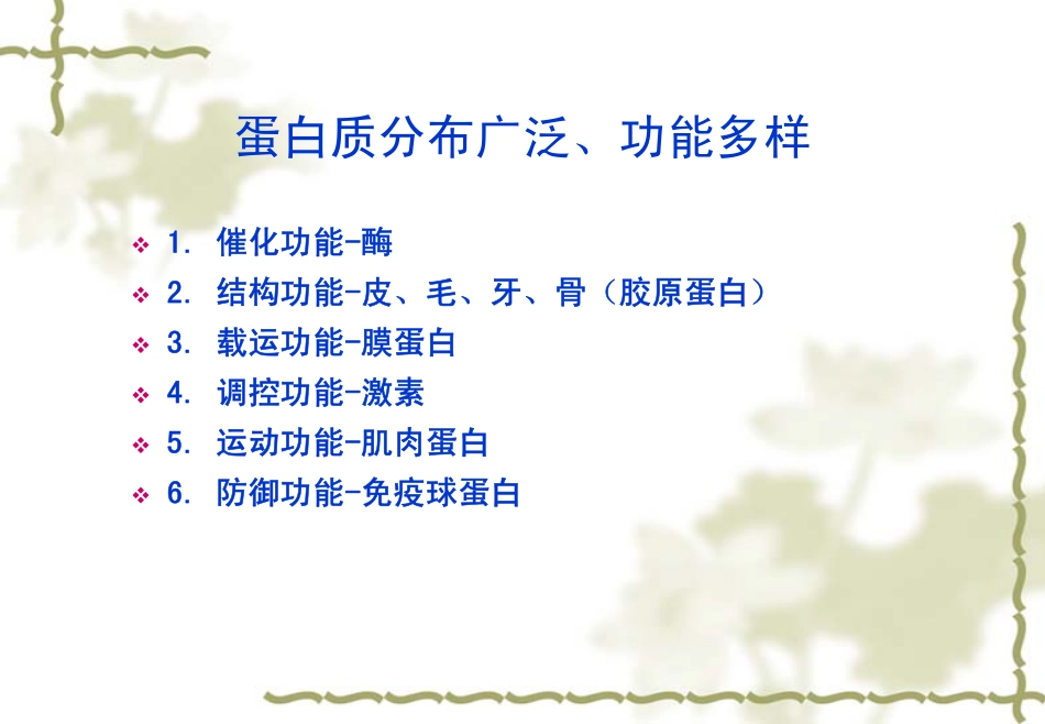 食品生物化学-01蛋白质_第3页