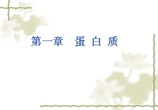 食品生物化学-01蛋白质