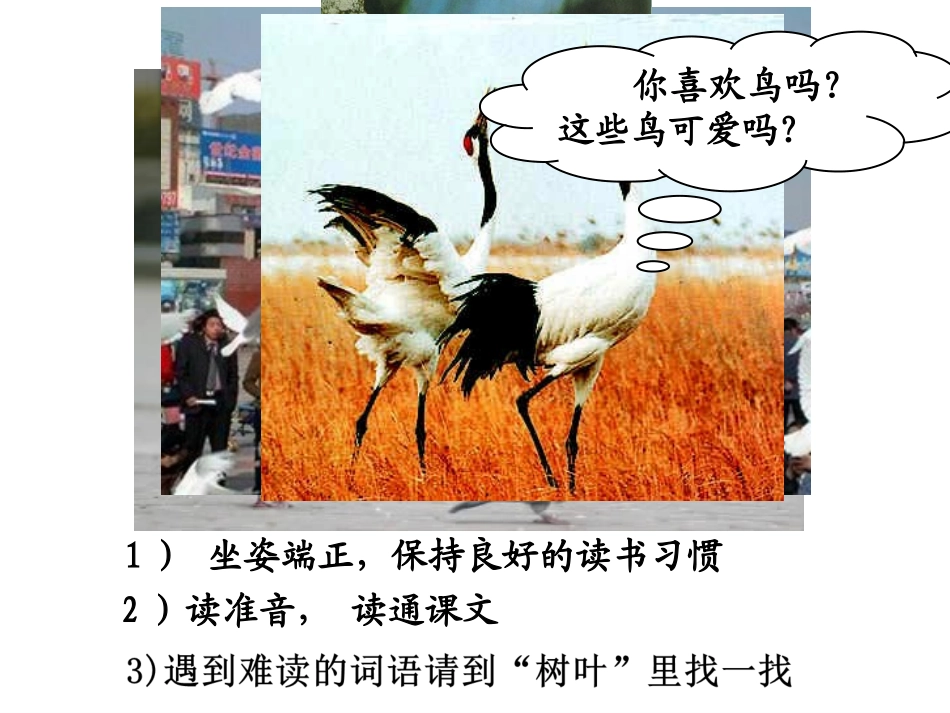 人教版二年级上册第29课父亲和鸟_第2页