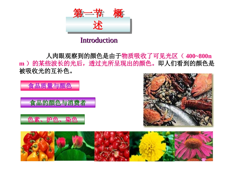 食品化学 第八章色素_第3页