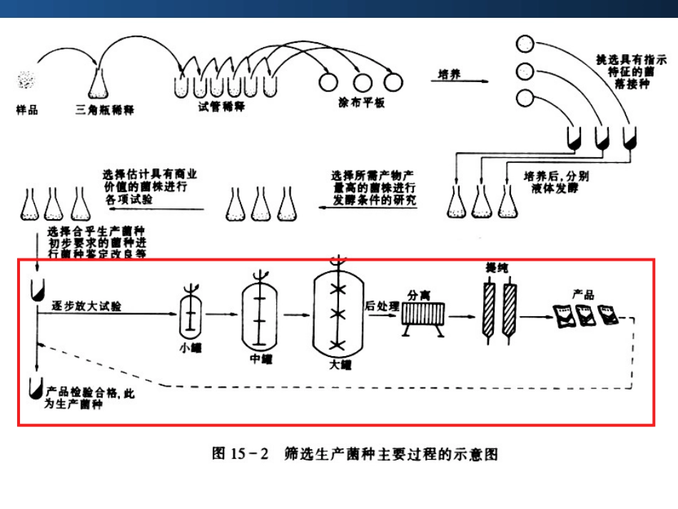 食品中的微生物_第3页