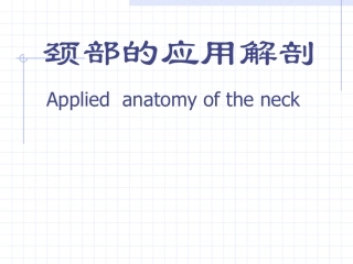 颈部的应用解剖